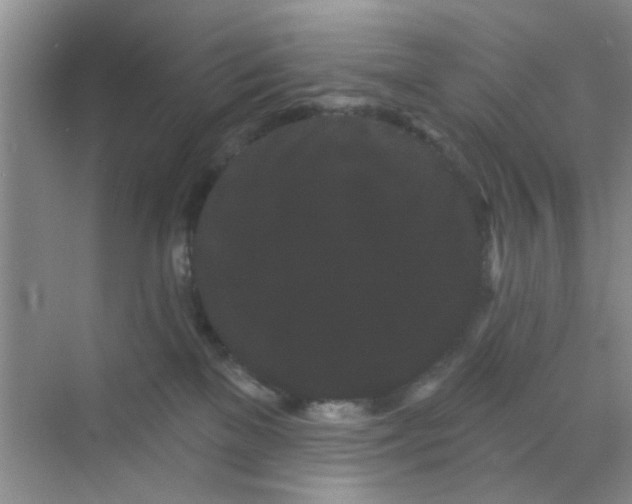 X0000070240137200606161856
