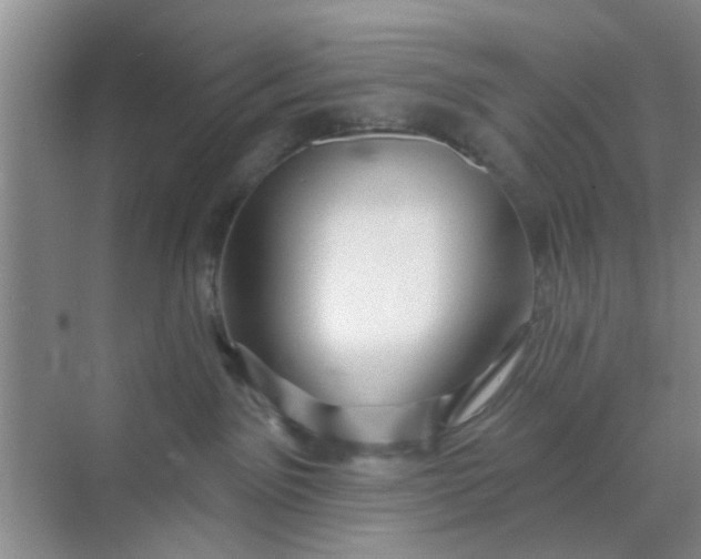X0000070240141200606161855