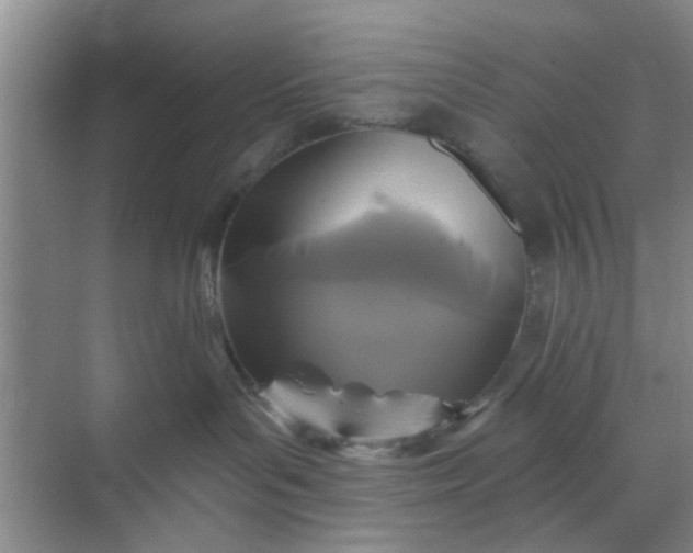 X0000070240143200606161855