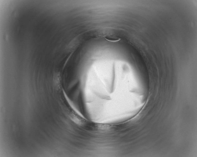 X0000070240144200606161855