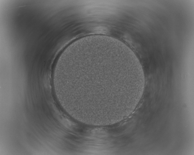 X0000070240146200606161855