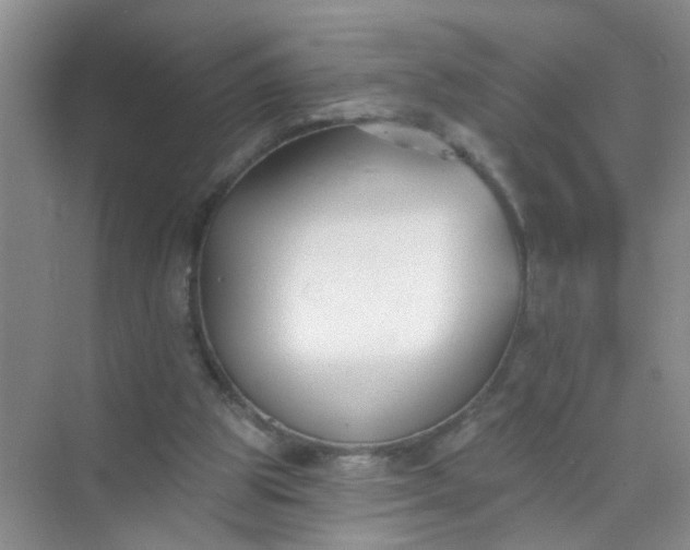 X0000070240153200606161855