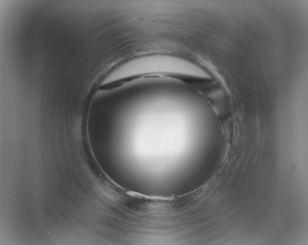 X0000070240154200606161855