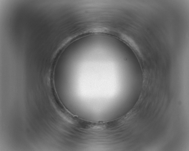 X0000070240155200606161855
