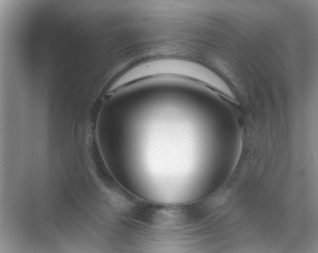 X0000070240164200606161855