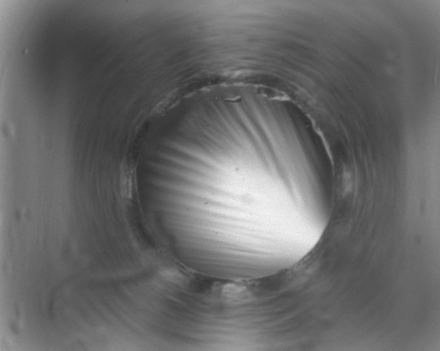 X0000070240180200606161855