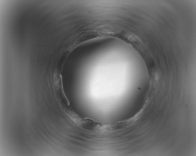 X0000070240186200606161855