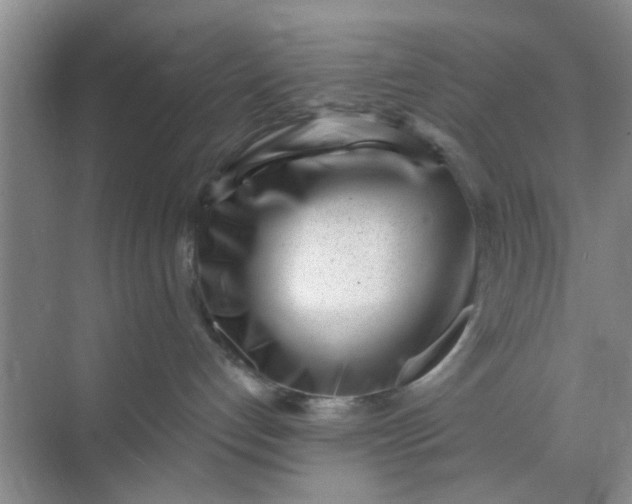 X0000070240192200606161855