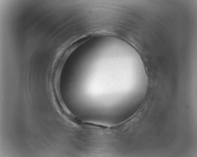 X0000070240193200606161855