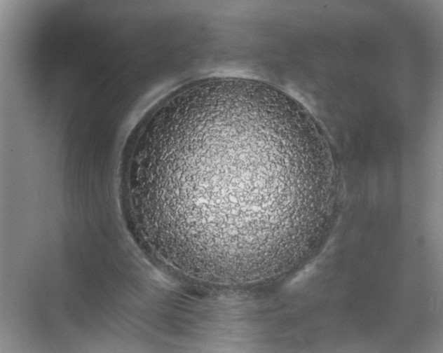 X0000070240199200606161854
