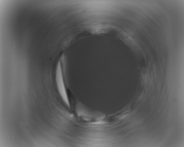 X0000070240219200606161854