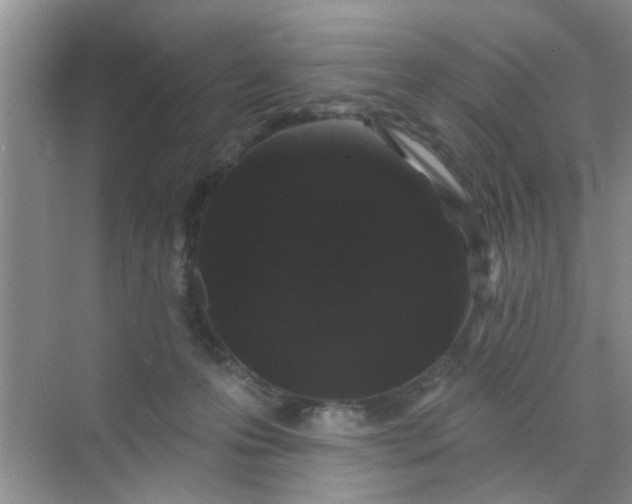 X0000070240223200606161854