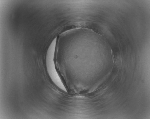 X0000070240233200606161854