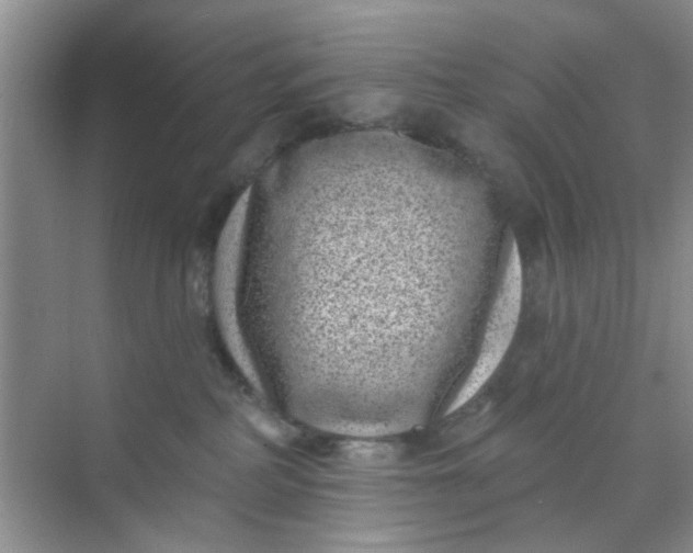 X0000070240234200606161854