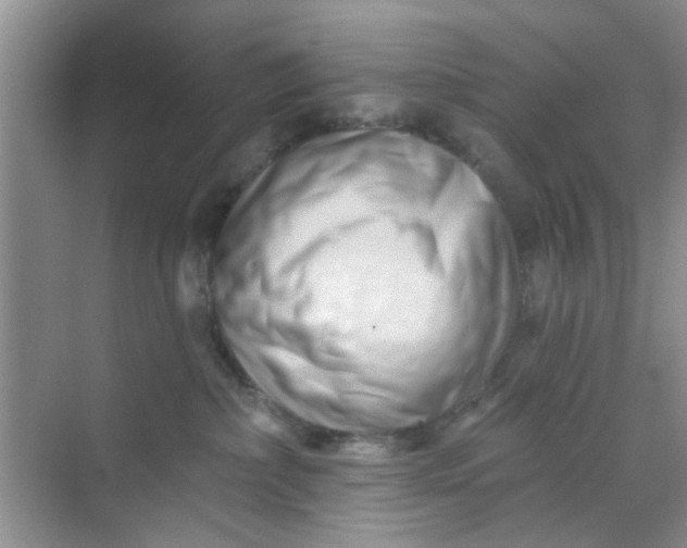 X0000070240236200606161854