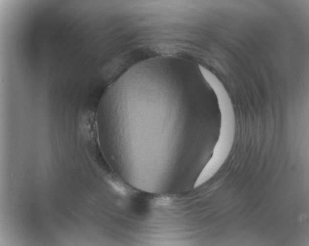 X0000070240237200606161854