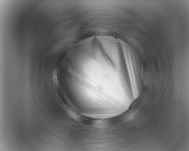 X0000070240238200606161854