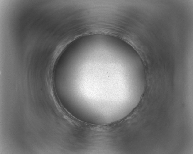 X0000070240241200606161853