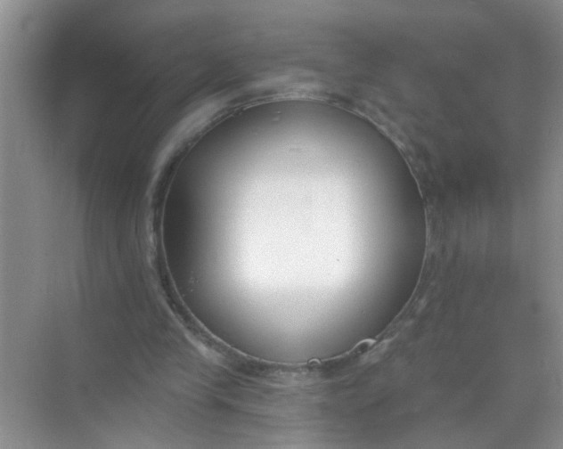 X0000070240245200606161853