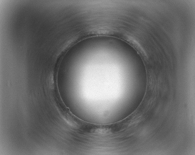 X0000070240251200606161853