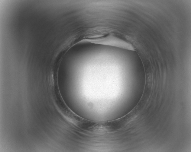 X0000070240254200606161853