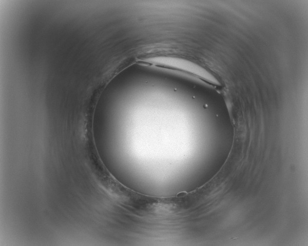 X0000070240255200606161853