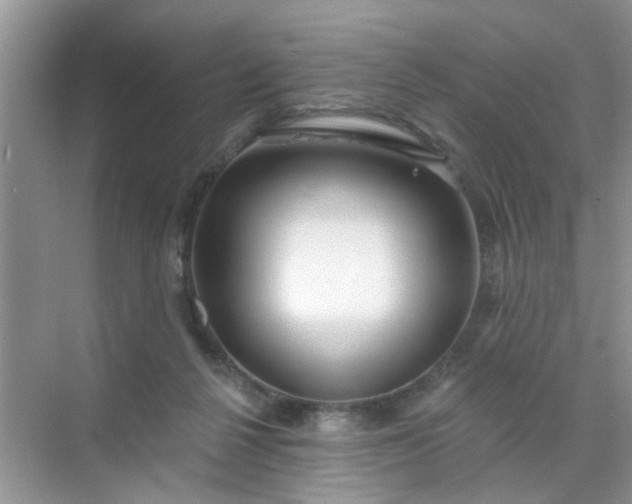 X0000070240264200606161853