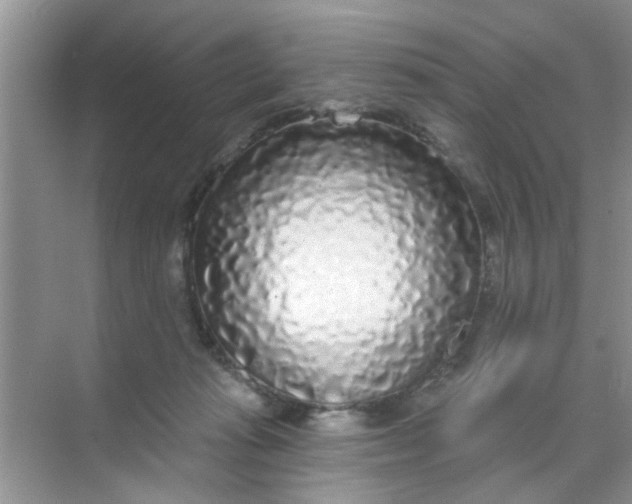 X0000070240269200606161853