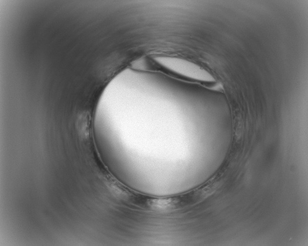 X0000070240273200606161854