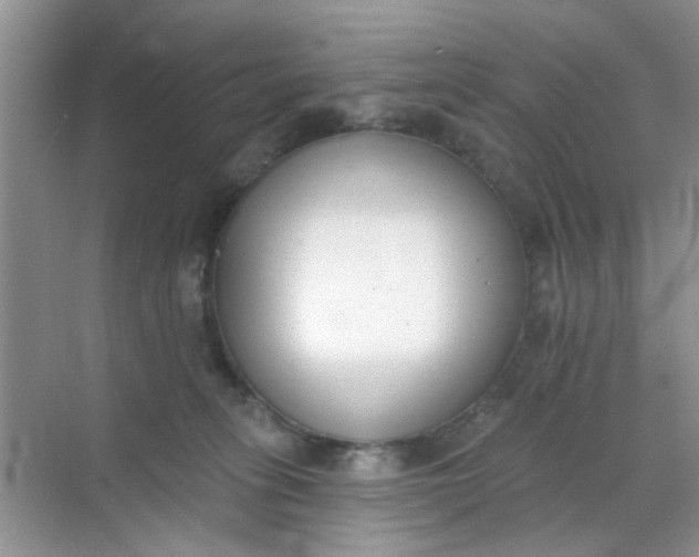 X0000070240275200606161854