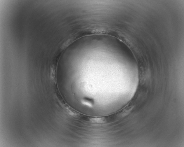 X0000070240281200606161854