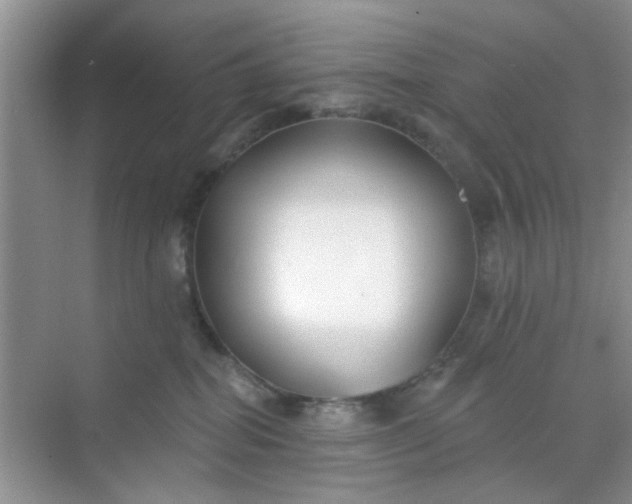 X0000070240282200606161854