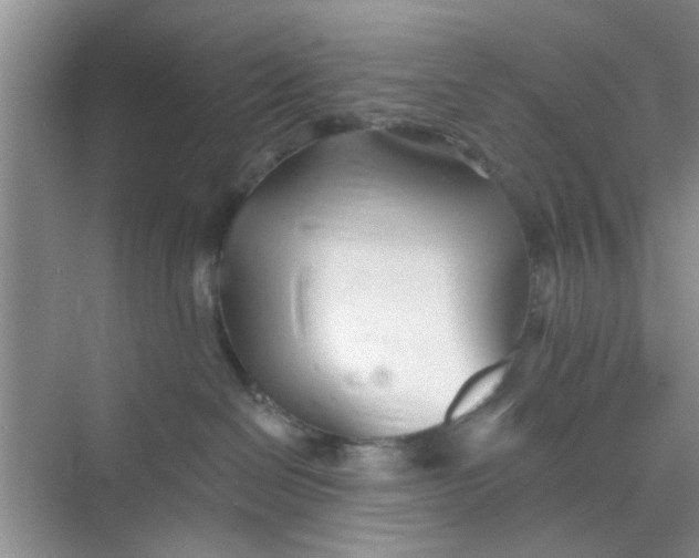 X0000070240286200606161854