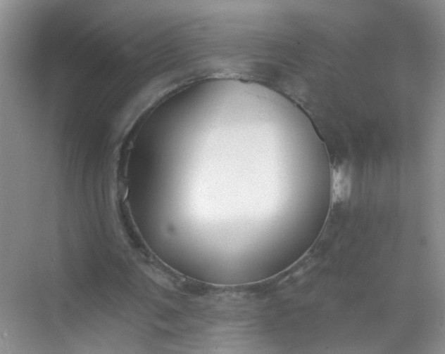 X0000070240291200606161853
