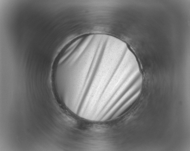 X0000070240292200606161853