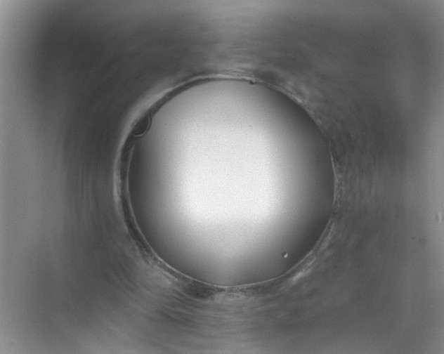 X0000070240294200606161853