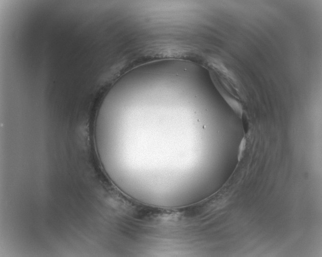 X0000070240306200606161853