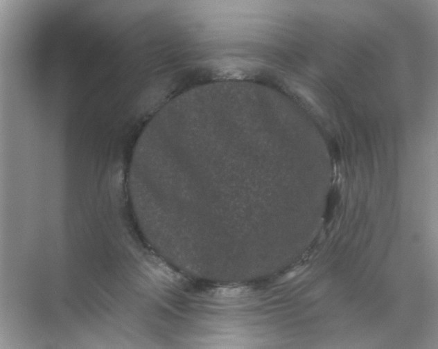 X0000070240314200606161853