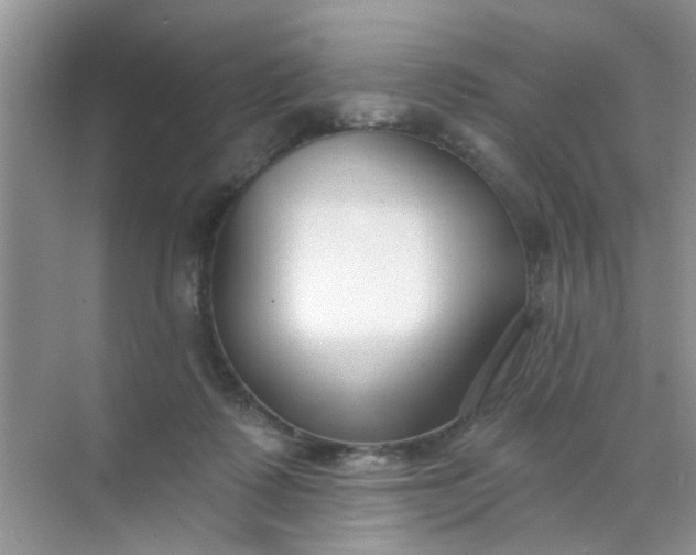 X0000070240315200606161853