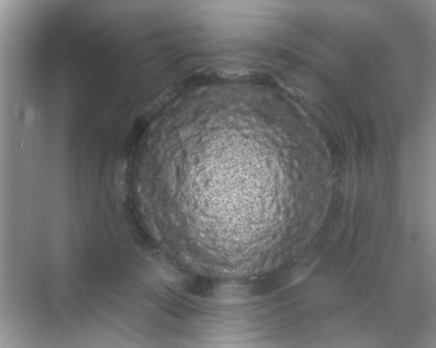 X0000070240319200606161852