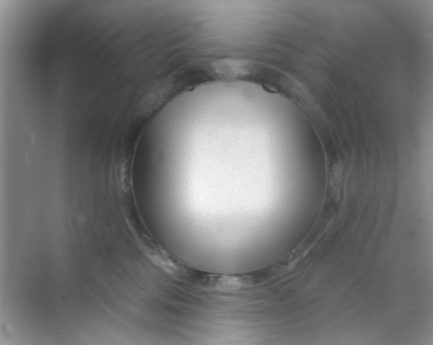 X0000070240330200606161852