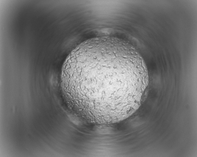 X0000070240331200606161852