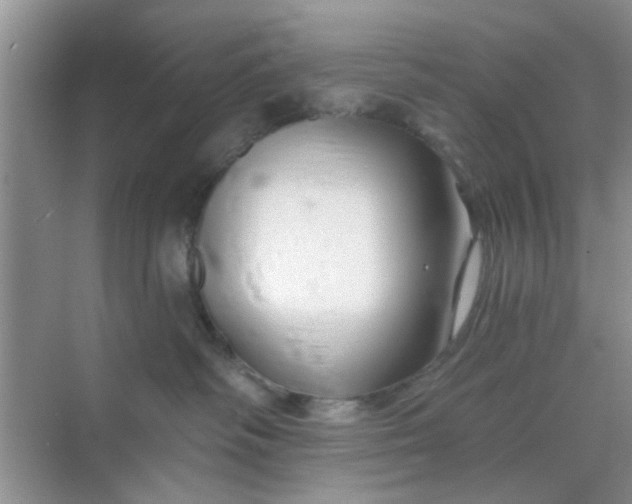 X0000070240334200606161852