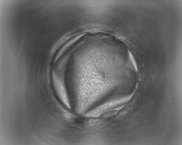 X0000070240341200606161851