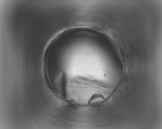 X0000070240342200606161851