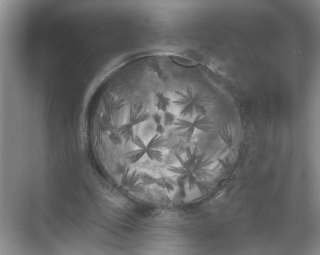 X0000070240343200606161851
