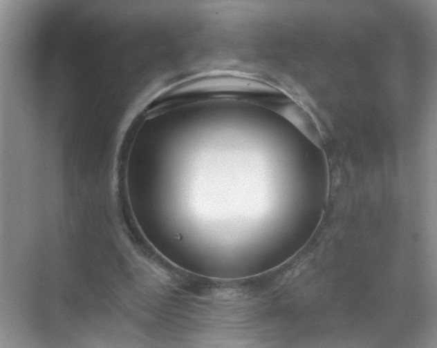 X0000070240344200606161851