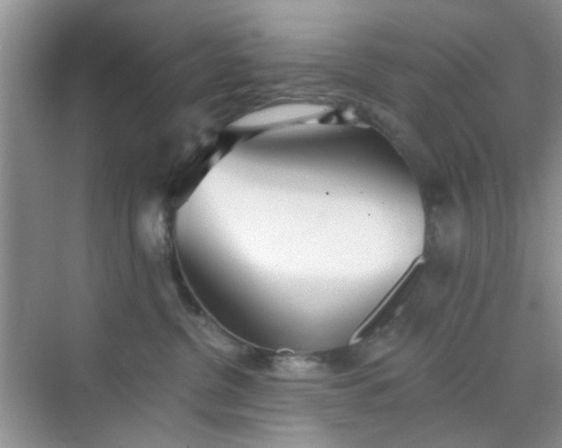 X0000070240380200606161852