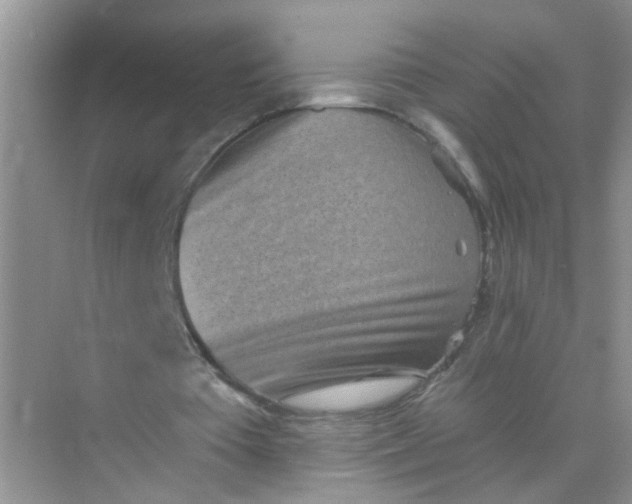 X0000070240385200606161851