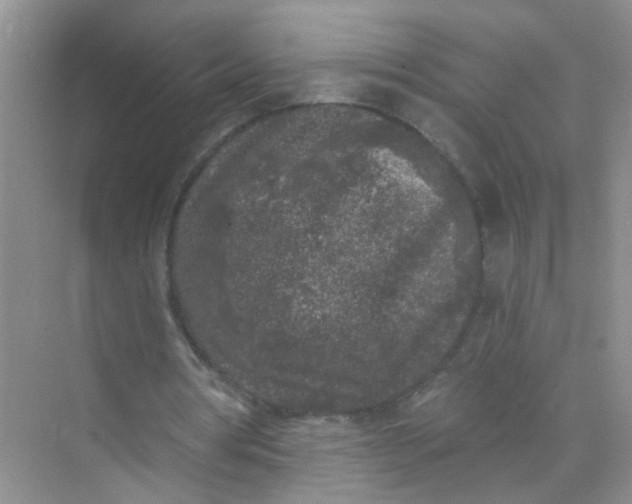 X0000070240386200606161851